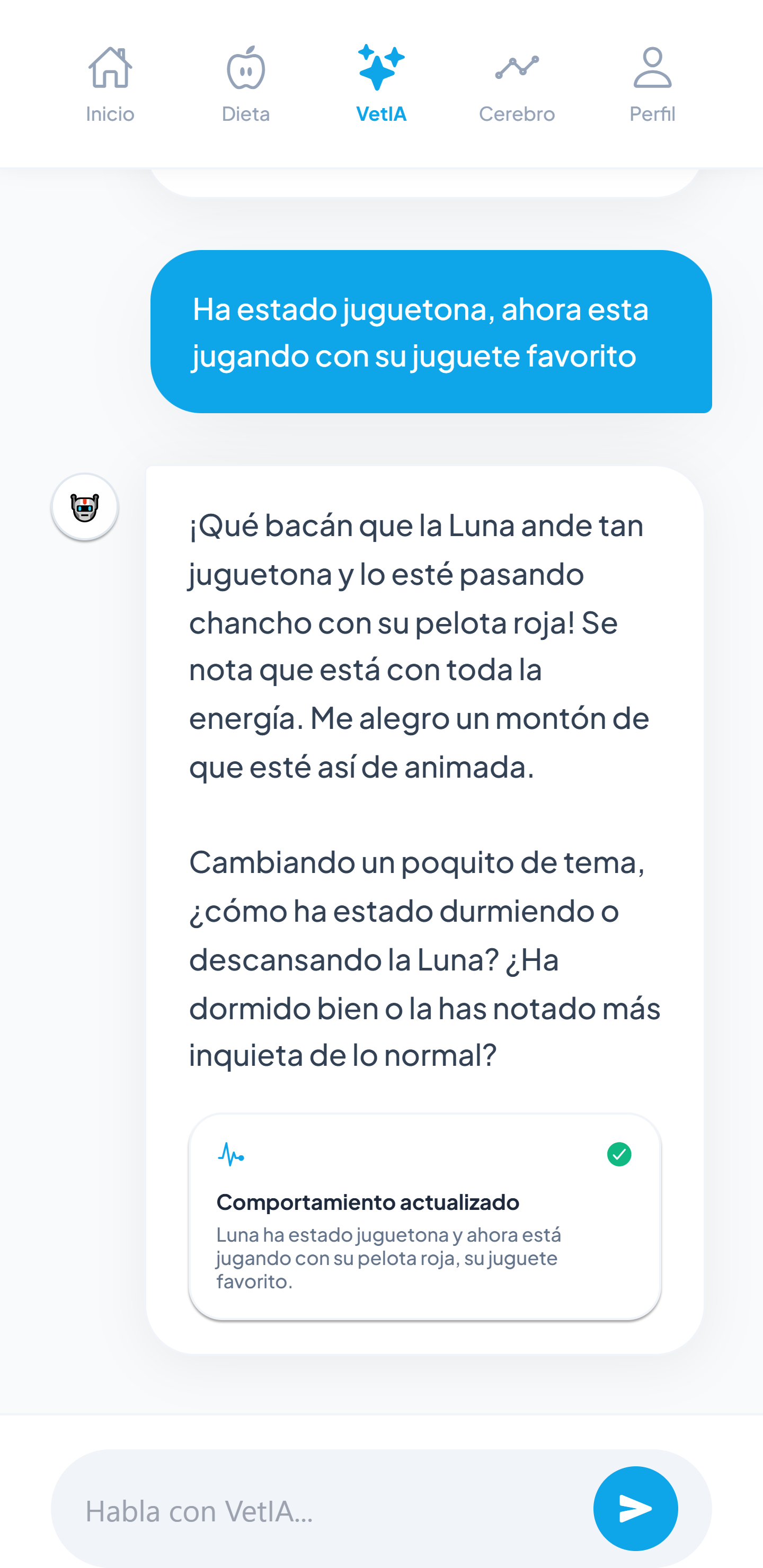 Chat 1